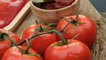 Tomate reif Paste. hoch Qualität 4k Aufnahmen video