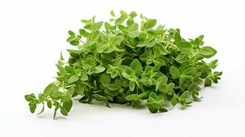 AI generated a bunch of fresh green oregano leaves isolated on a white background. photo