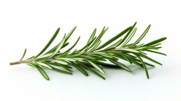 AI generated a sprig of rosemary on a white background. photo