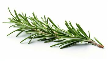 AI generated a fresh sprig of rosemary on a white background used for cooking and seasoning. photo