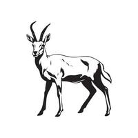 Antelope Vector Images