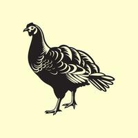 Turkey Vector Art, Icons, and Graphics
