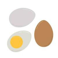 Hard boiled sliced broken egg flat style isolated on white background. Elements of breakfast symbol. Vector illustration.