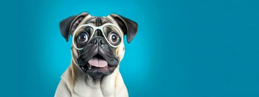 AI Generated Adorable pug in oversized glasses looking surprised. photo