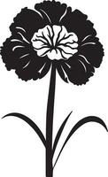 black and white flower vector