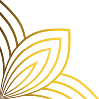 schön Gold Ornament png