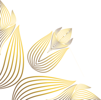 beautiful gold ornament png