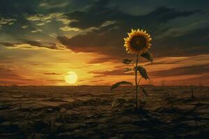 AI generated Forlorn Lonely sunflower. Generate Ai photo