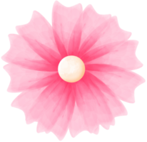 rosado acuarela flor png