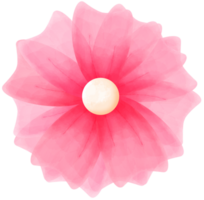 rosado acuarela flor png