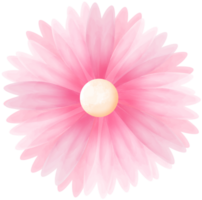Pink Watercolor Flower png