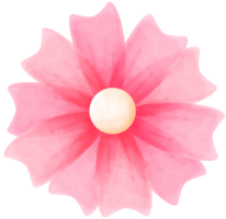 rosado acuarela flor png