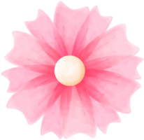 rosado acuarela flor png