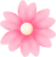 rosado acuarela flor png