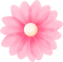 rosado acuarela flor png