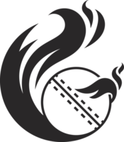 cricket fly fire ball icon png