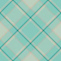 Plaid pattern vector. Check fabric texture. Seamless textile design for clothes, paper print. vector