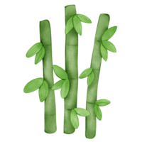 Group of green bamboos watercolor isolated item png