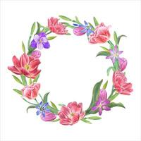 Watercolor wreath of tulips, daffodils, crocuses, scillas. Botanical illustration, space for text vector