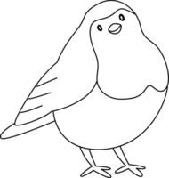 Robin bird, cartoon, drawn with simple lines, doodle, hand-drawn with a simple and smooth style. The robin bird is cute vector