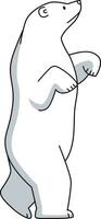 polar bear stand with poses. The polar bear is white standing on two and four legs, drawn by hand with simple and straightforward lines. cute doodle cartoon of a polar bear standing vector