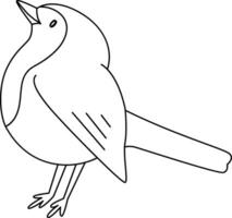 Robin bird, cartoon, drawn with simple lines, doodle, hand-drawn with a simple and smooth style. The robin bird is cute vector