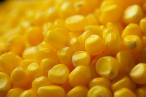 AI generated Corn kernels closeup highlighting the texture photo