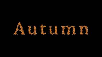 faire votre l'automne Ventes monter en flèche avec Animé boucle animation video