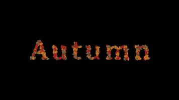 Increase Customer Engagement with Dynamic Autumn Leaves Animation video