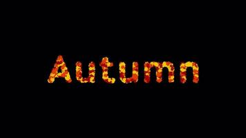 Enhance Your Autumn Marketing Campaign with Loop Animation video