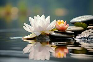 AI generated Tranquil scene lotus flower with stone, enhancing the water beauty photo