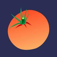 Tomato icon. Vector illustration of a tomato with a leaf.
