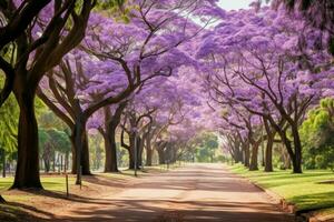 ai generado vibrante jacarandá arboles parque. generar ai foto