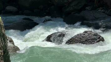 rapide rivière courants caresse ancien des pierres video