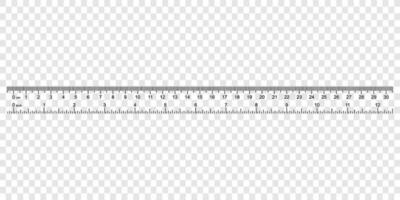 ruler with numbers for measuring length vector