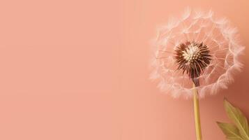 AI generated Banner Dandelion on peach background, delicate nature macro, floral wallpaper, spring concept. Trendy Peach Fuzz color photo
