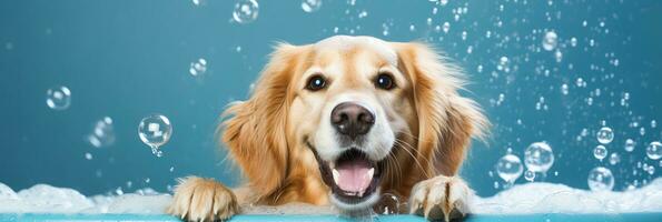 AI generated Happy golden retriever bath time with floating bubbles, ideal for dog grooming and joyful pet articles. photo