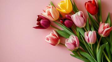 AI generated Vibrant tulip bouquet on pink background, perfect for spring decor, floral patterns, and Mother's Day greeting cards photo