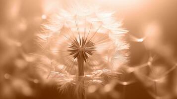 AI generated Warm-toned dandelion silhouette, abstract nature background, artistic floral design photo