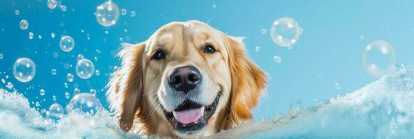 AI generated Joyful golden retriever playing with bubbles on a sunny day, perfect for pet care and happiness themes photo