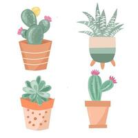 Cute Cactus and Greenery in Pot Illustration vector