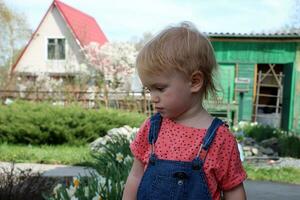 retrato de un pequeño niña en un país casa en naturaleza. foto