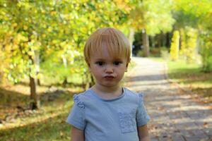 retrato de un 2 año antiguo rubio niña en un antecedentes de hojas. caucásico todler con grande ojos mira a el cámara y sonrisas foto