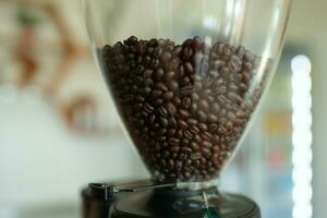 Fresh coffee beans in a coffee grinder photo