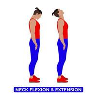 Vector Man Doing Neck Stretch. Neck Flexion and Extension. Back and Forward Bend. An Educational Illustration On A White Background.