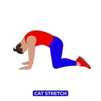 Vector Man Doing Cat Stretch. Marjariasana. An Educational Illustration On A White Background.