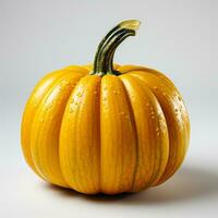 AI generated close up photo of a pumpkin on a white background