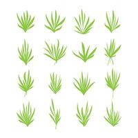 verde hojas césped planta aislado vector ilustración.