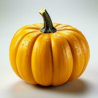 AI generated close up photo of a pumpkin on a white background