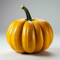 AI generated close up photo of a pumpkin on a white background
